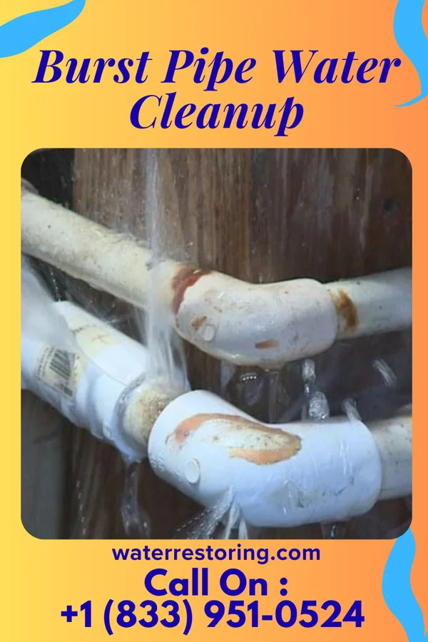 Burst Pipe Water Cleanup in Mound Bayou, MS