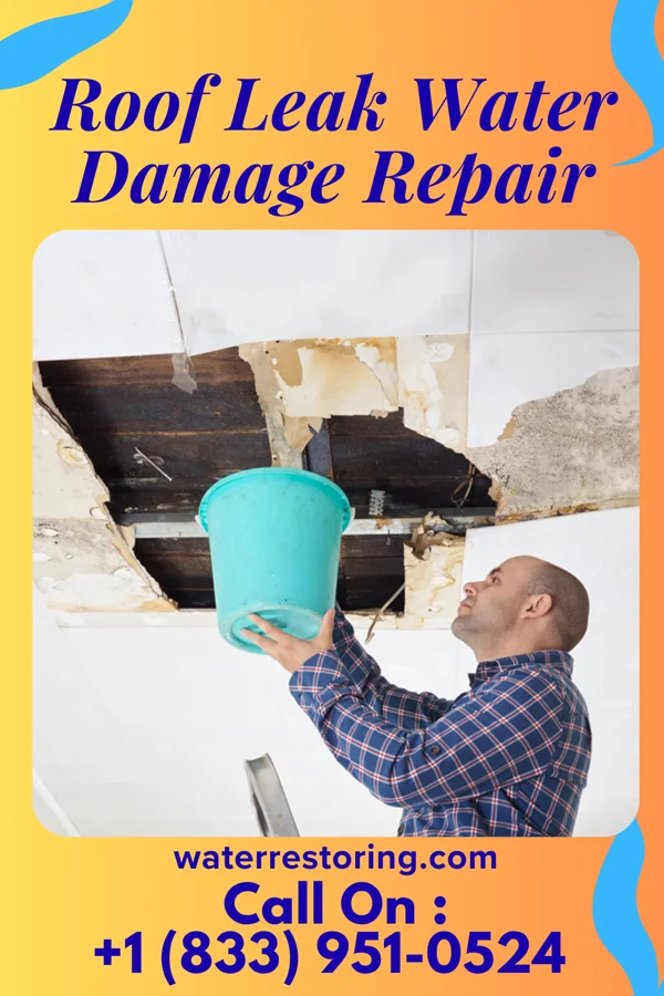 Roof Leak Water Damage Repair in Mound Bayou, MS