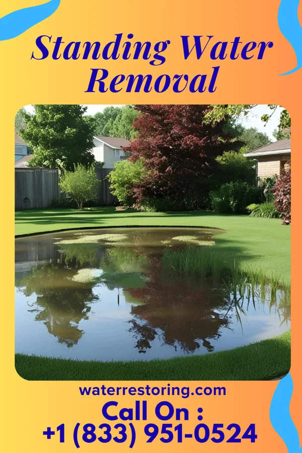 Standing Water Removal in Mound Bayou, MS